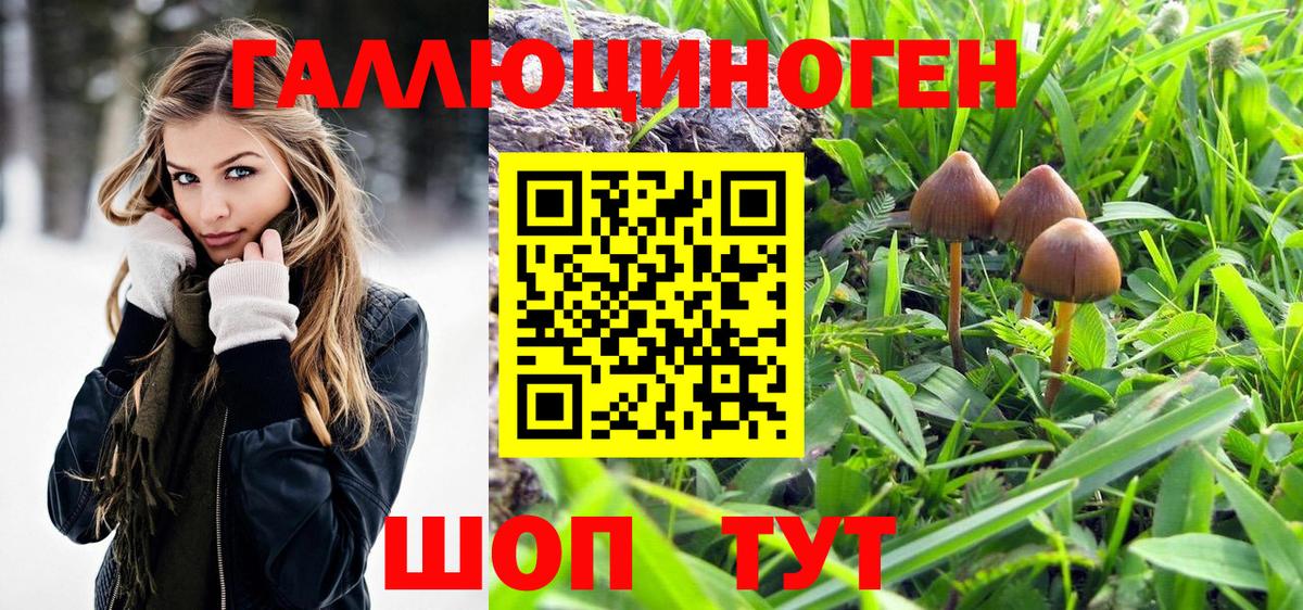 Кудрово  Галлюциногенные грибы мицелий  Вход с VPN 